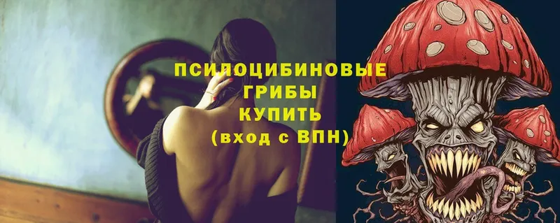 цена   Лаишево  hydra как зайти  Галлюциногенные грибы Psilocybine cubensis 